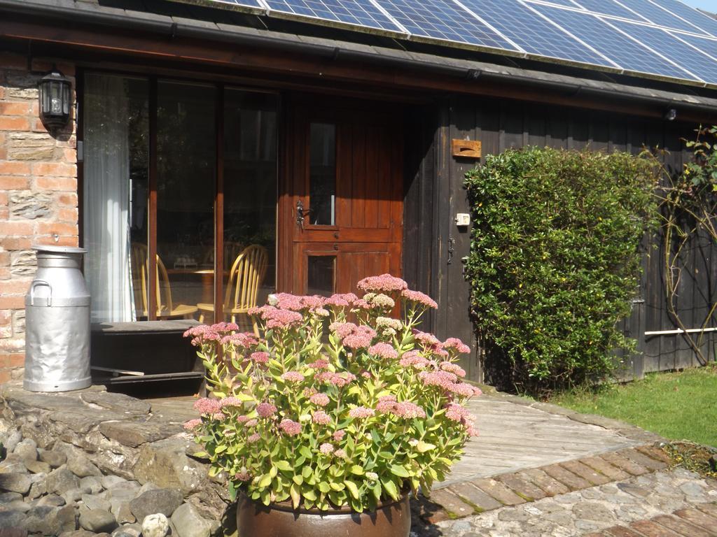 Irfon Cottage 빌스웰즈 외부 사진